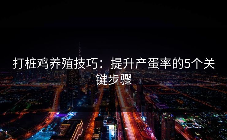 打桩鸡养殖技巧:提升产蛋率的5个关键步骤 第1张 打桩鸡养殖技巧:提升产蛋率的5个关键步骤 第1张