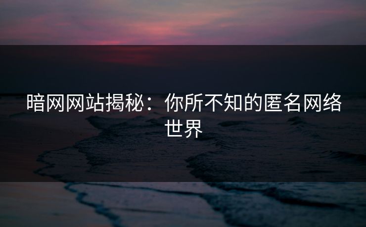 暗网网站揭秘：你所不知的匿名网络世界  第1张