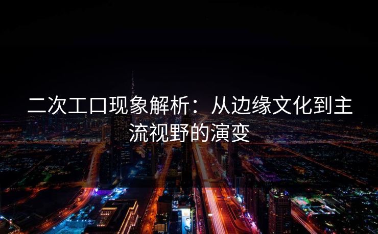 二次工口现象解析：从边缘文化到主流视野的演变  第1张