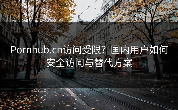 Pornhub.cn访问受限？国内用户如何安全访问与替代方案  第1张