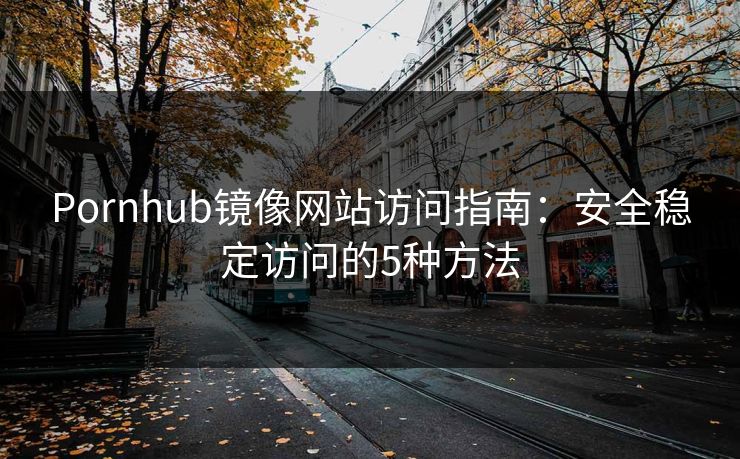 Pornhub镜像网站访问指南：安全稳定访问的5种方法  第1张